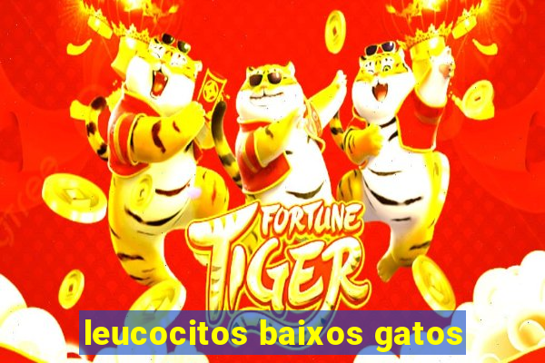 leucocitos baixos gatos